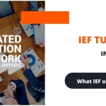 AMEC IEF Tutorial course – users’ stories