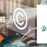 AMEC Copyright Benchmarking Survey