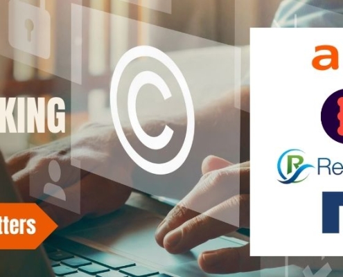 AMEC Copyright Benchmarking Survey