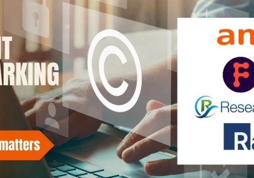 AMEC Copyright Benchmarking Survey