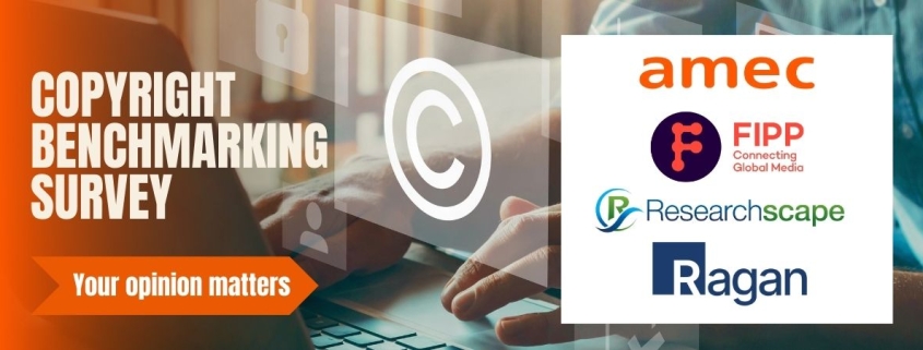 AMEC Copyright Benchmarking Survey